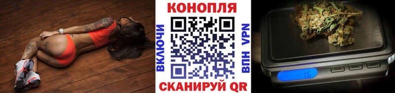 Бошки марихуана марихуана Котовск